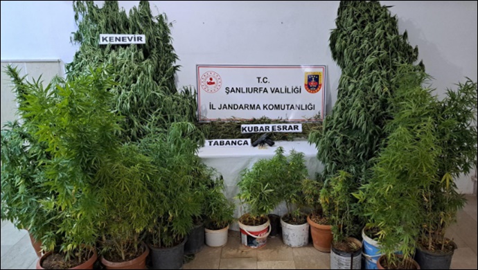 Şanlıurfa'da uyuşturucu operasyonunda 2 şahıs yakalandı
