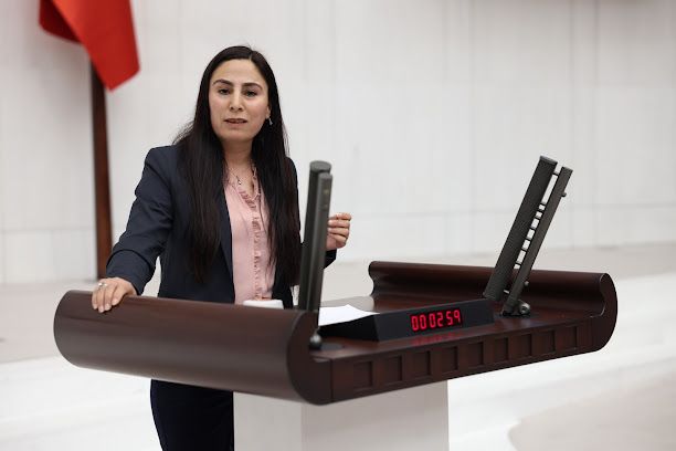 Şanlıurfa'daki elektrik kesintileri yine Meclis gündeminde