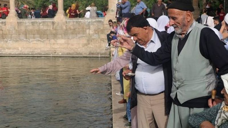 Şanlıurfa'nın 2020 yılı yaşlı istatistikleri açıklandı