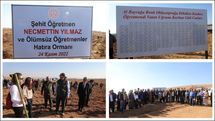 Şehit 192 öğretmen anısına fidan dikildi