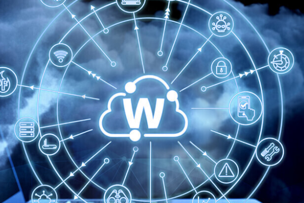 Siber saldırılar sigorta maliyetlerini artırdı