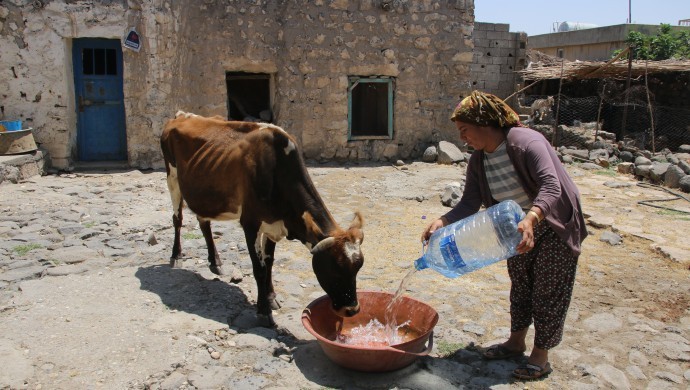Şırnak’ta 155 haneli köy 5 gündür susuz