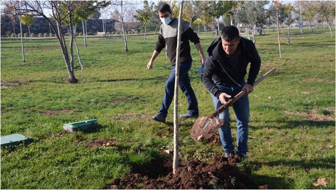 Siverek Belediyesinden Şartlı Uzlaşma