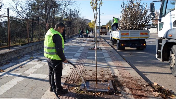 Siverek'te ağaçlandırma çalışması sürüyor