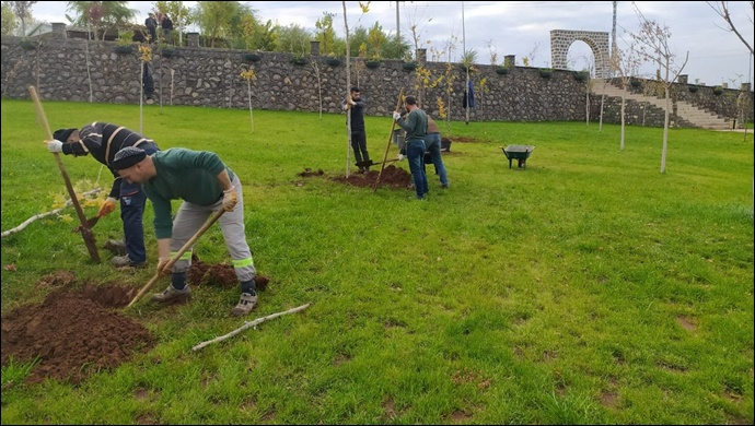 Siverek’te Parklarda ağaç dikimi yapılıyor