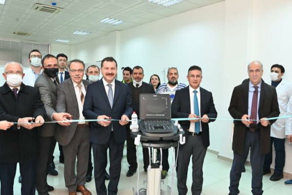 Sokak hayvanları için güç birliği