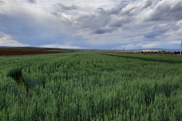 “Su Riskleri Projesi” SKD Türkiye, Ankara Üniversitesi ve Ülker iş birliğiyle başlıyor