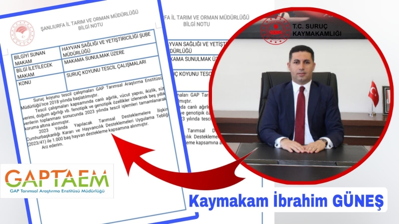 Suruç Kayyumu kendisi tescil ettiğini iddia etmişti:İşte resmi yanıt