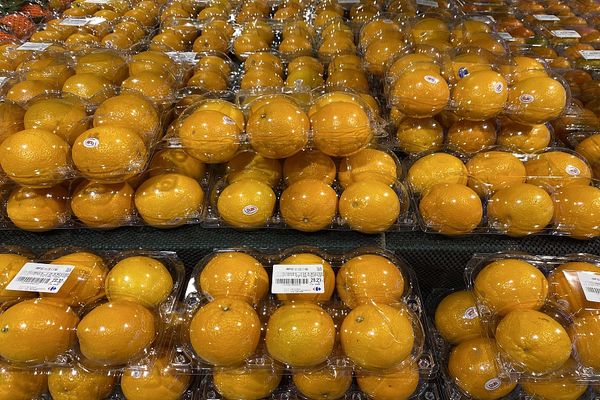 Taiwan’dan turunçgiller ve bazı balık türlerinin Çin anakarasına satışı durduruldu