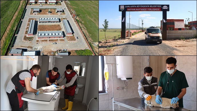 Tam Teşekküllü Hayvan Hastanesi Ve Rehabilitasyon Merkezi Hizmete Başladı