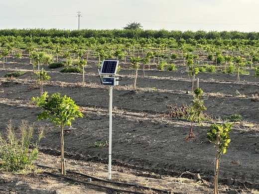 Tarımın internetiyle 'Mahsul' güvende