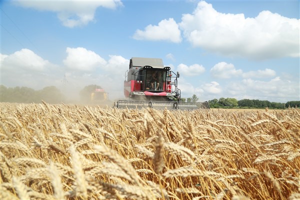 TİGEM işletmelerinden hasat rekoru