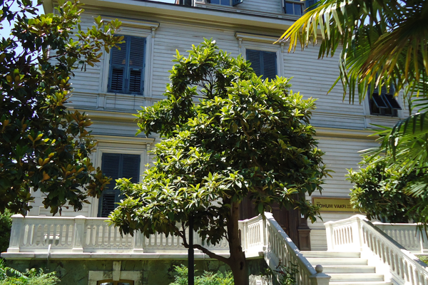 Tohum Otizm Vakfı Eğitim Kurumları otizmli öğrencilerini bekliyor