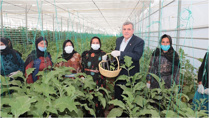 “Toplum Temelli Seracılık” Projesinde İlk Hasat Yapıldı-(VİDEO)