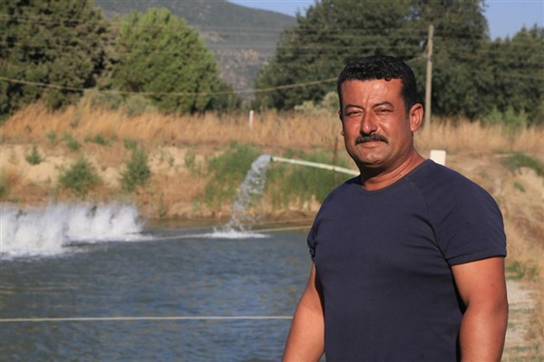 Toprak havuzlarda balık üretimi yükselişte