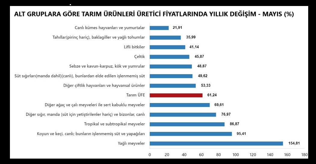 TÜİK-Tarım ürünleri üretici fiyatları Mayıs'ta yıllık yüzde 61,24 yükseldi