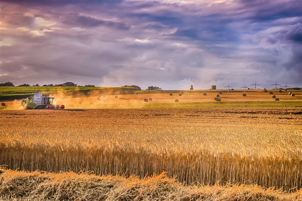 TÜİK-Tarımsal girdi fiyatları 2023 yılında yüzde 41,43 yükseldi