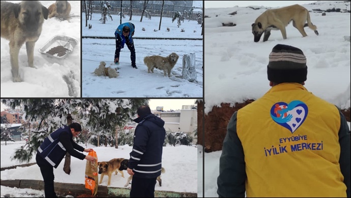 Tüm Canlılar İçin Sadece İyilik