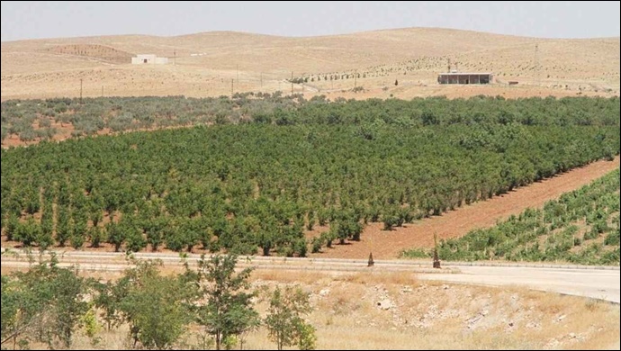 Türkiye 'de orman alanları açıklandı! Şanlıurfa orman fakiri çıktı