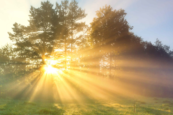 Türkiye, enerji verimliliği yatırımlarında büyük bir potansiyel taşıyor