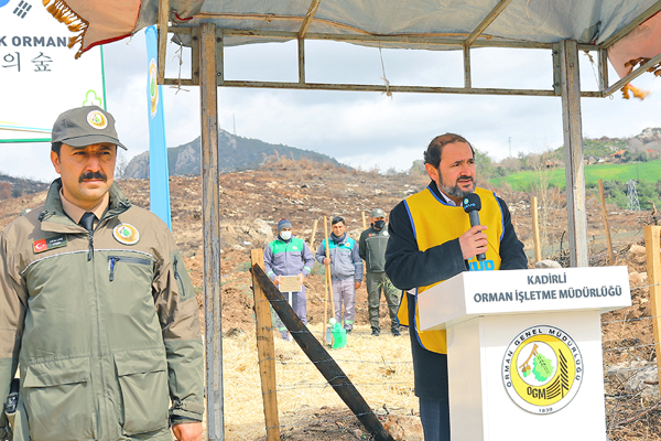 Türkiye - Kore dostluğu  580 bin fidanla kökleşti