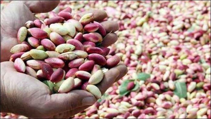 Urfa Fıstığı Borsada kaç liradan satıldı ?