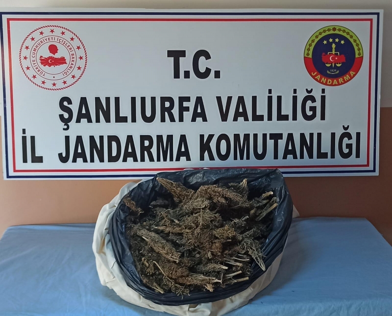 Urfa jandarmasından uyuşturucuya geçit yok!
