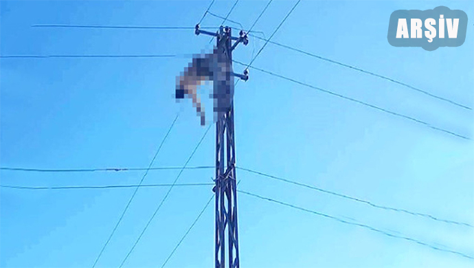 Urfa’da elektrik akımına kapılan elektrikçinin acı sonu!