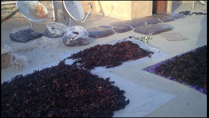 Urfa'da görüntüler değişti: Artık damları kırmızı isot süslüyor