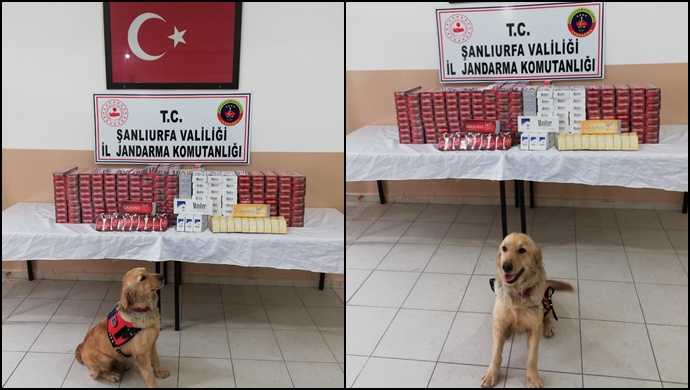 Urfa'da Kaçak Sigara Operasyonu-(Video)