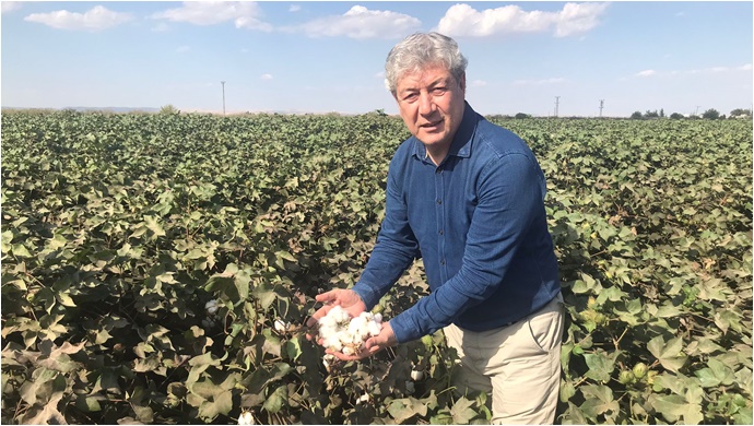 Urfa'da pamuk üretiminin maliyeti çıkarıldı: ZMO'dan taban fiyat açıklaması