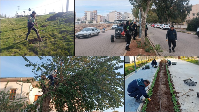 Viranşehir Belediyesinden Yeşil Alanlarda Hummalı Çalışma