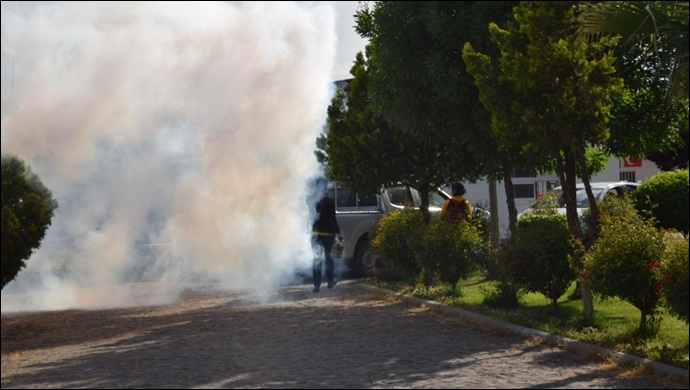 Viranşehir'de haşere ve ilaçlama çalışmaları