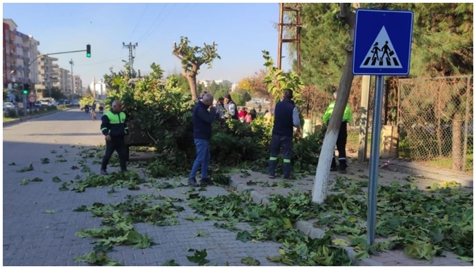 Viranşehir'de Parklarda hummalı çalışmalar sürüyor