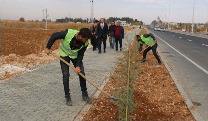 Yalçınkaya :“Yakın bir zamanda yemyeşil bir ilçemiz olacak”-(VİDEO)