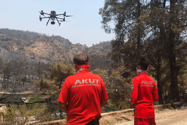 Yanan ormanlar yeniden hayata döndürülüyor