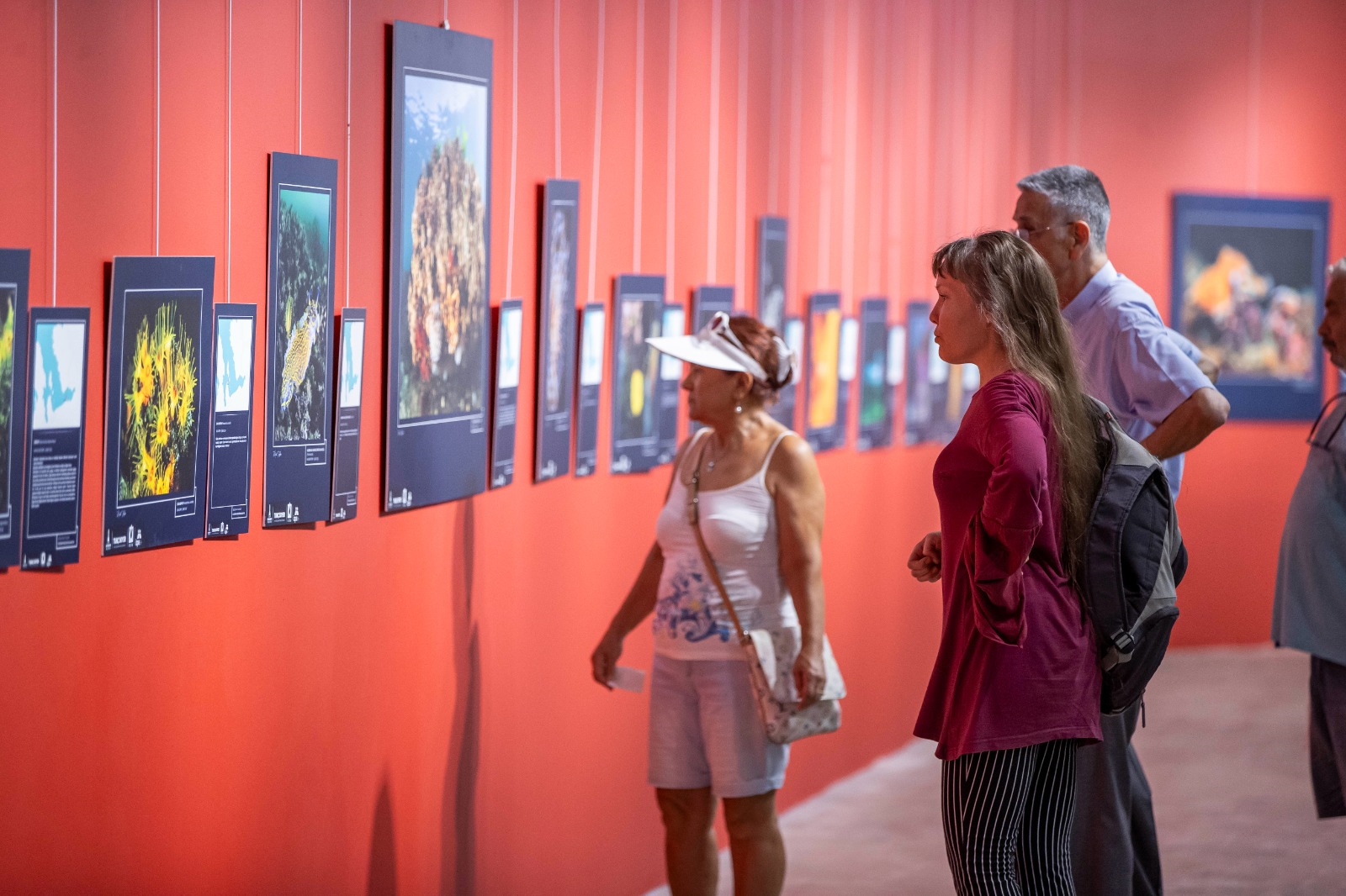 Yaşayan Körfez Sualtı Fotoğraf Sergisi açıldı