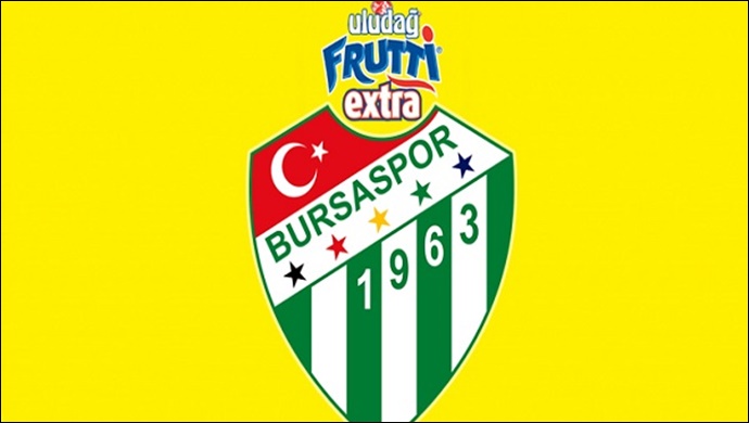 Yiğitcan Saybir, Bursaspor'da