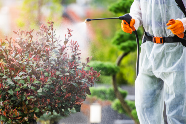 Zehirsiz kentler hareketi Türkiye’de